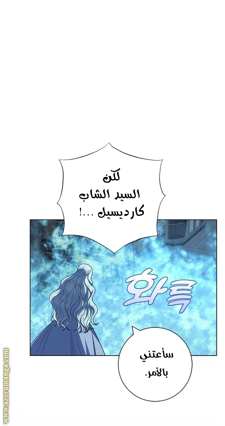 الصفحة 29