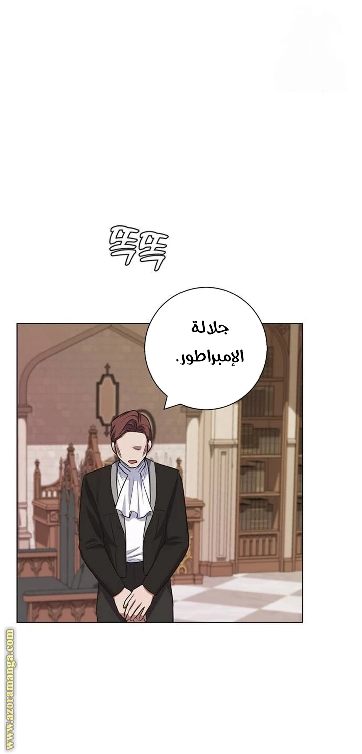 الصفحة 52