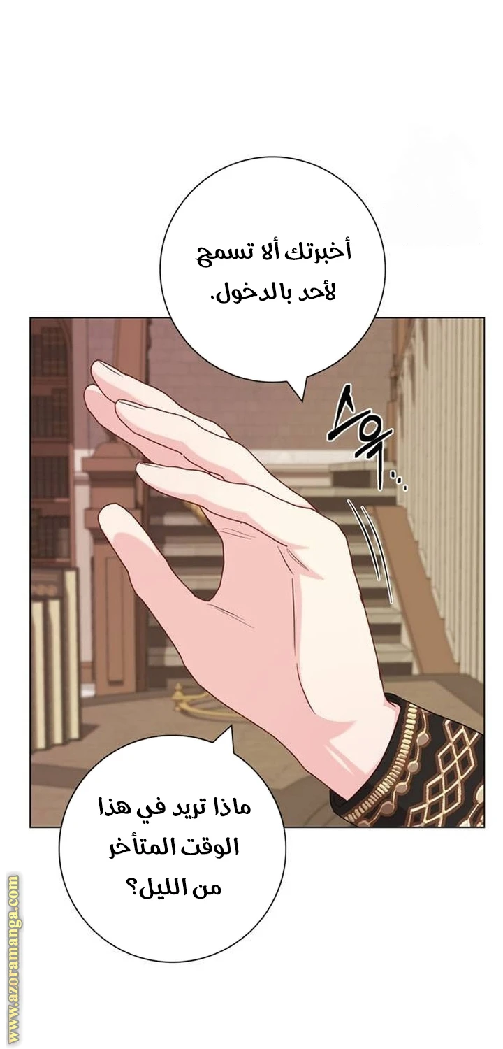 الصفحة 53
