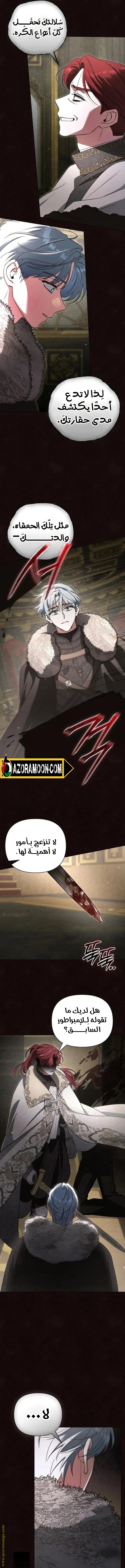 الصفحة 14