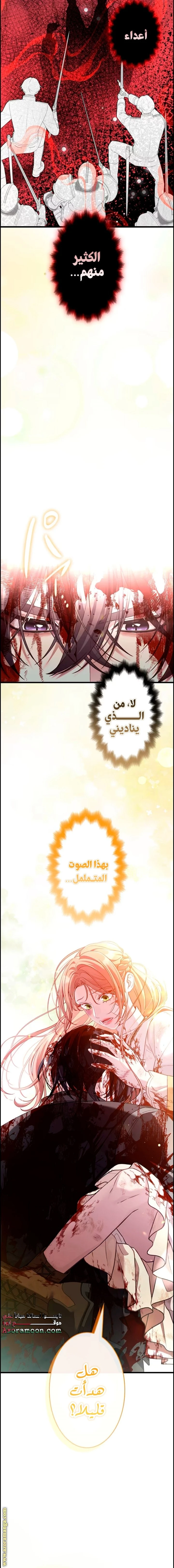 الصفحة 17