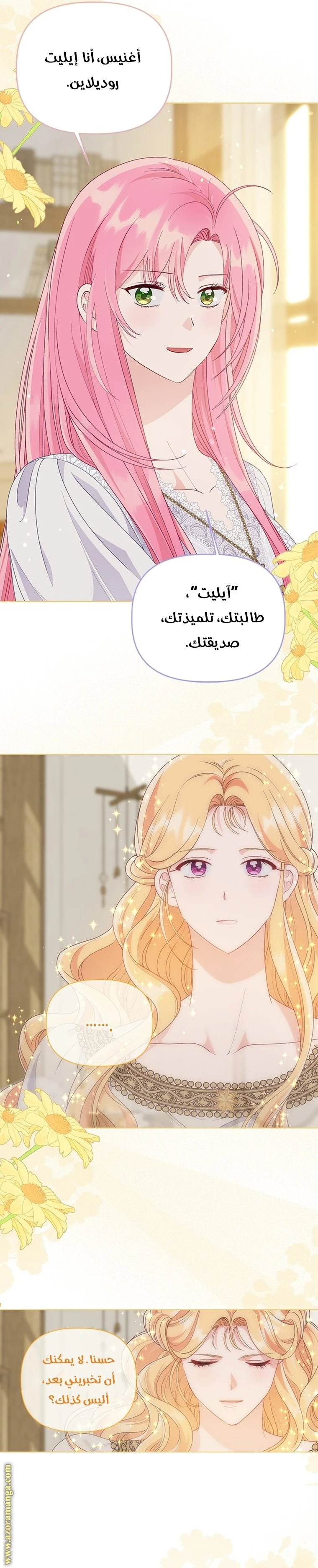 الصفحة 3