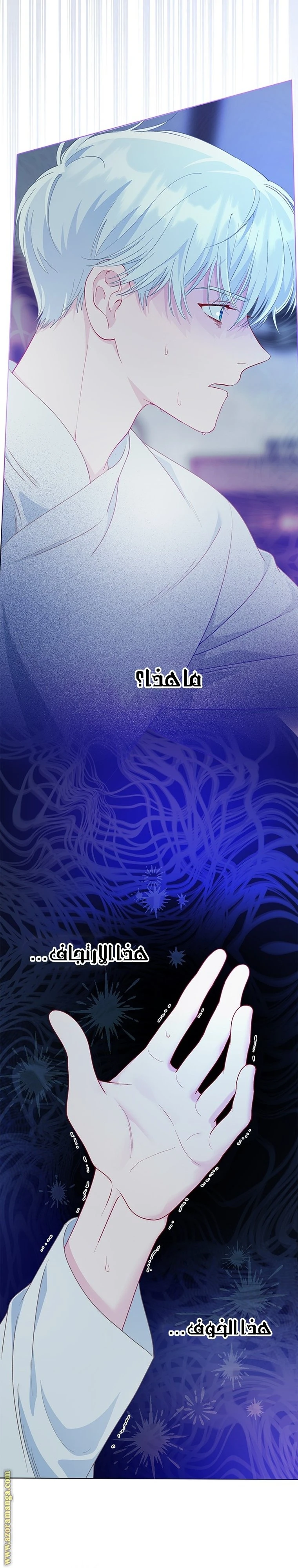 الصفحة 8