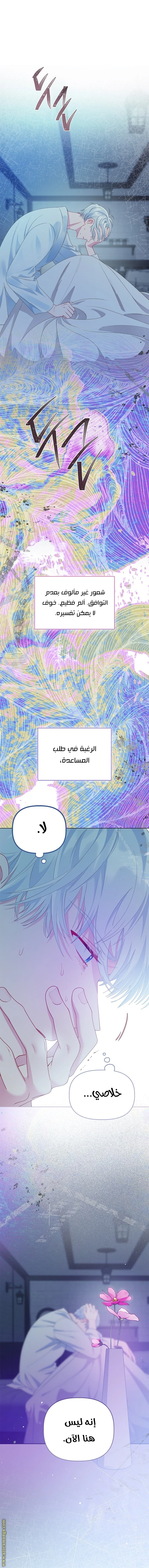 الصفحة 17