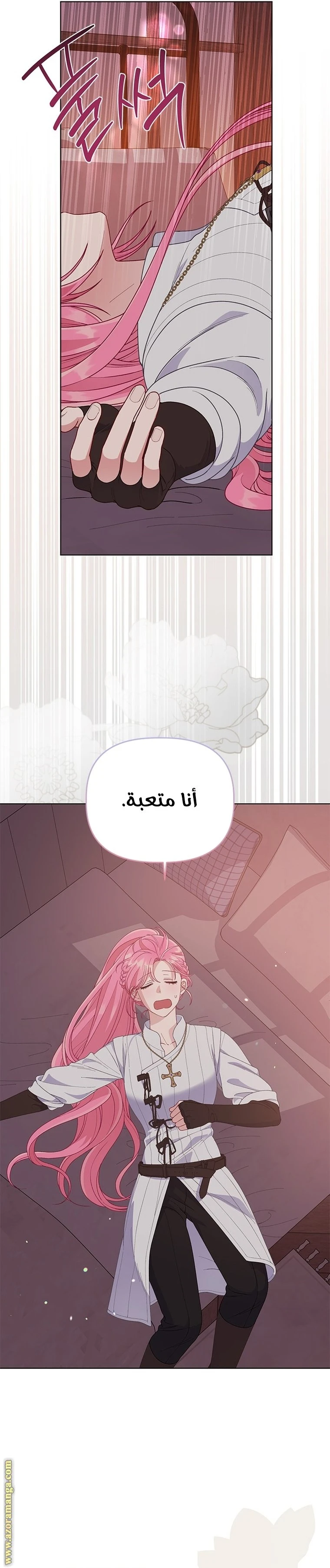 الصفحة 19