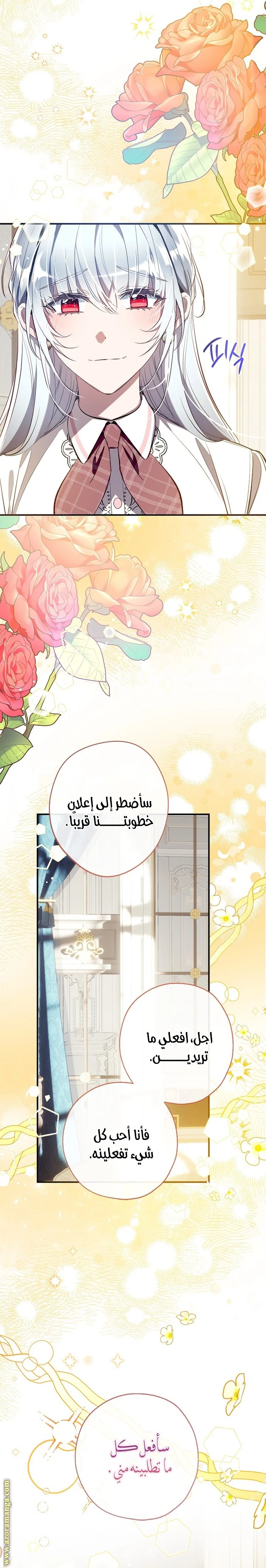 الصفحة 17