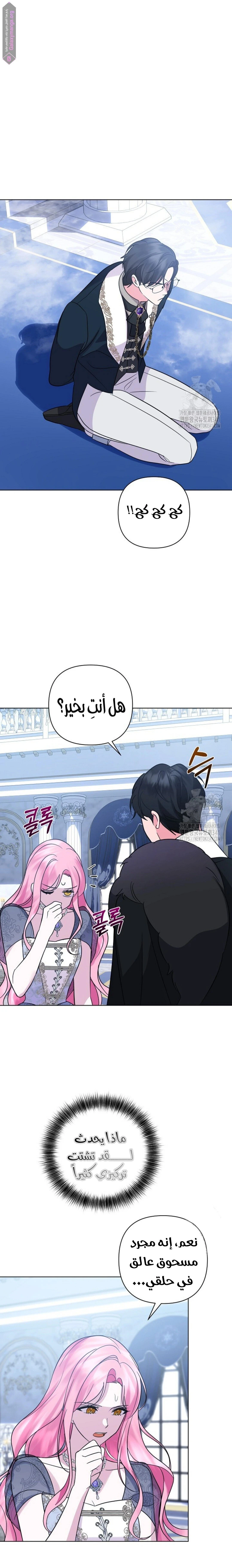 الصفحة 13