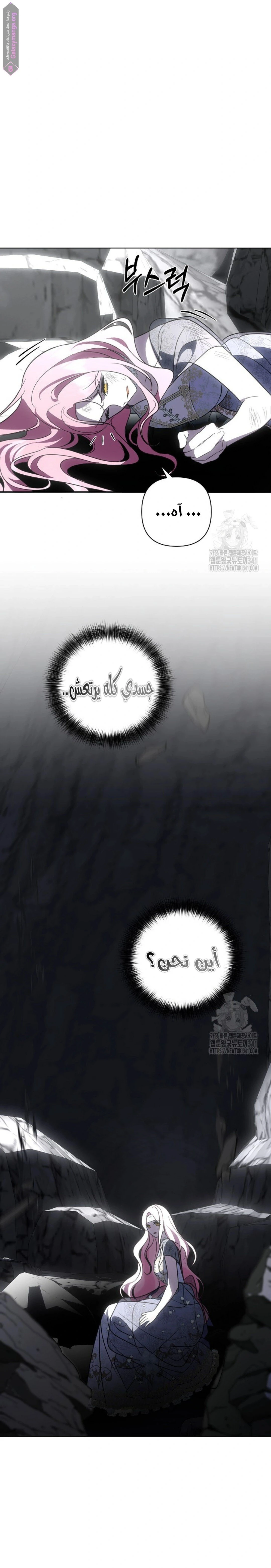الصفحة 17