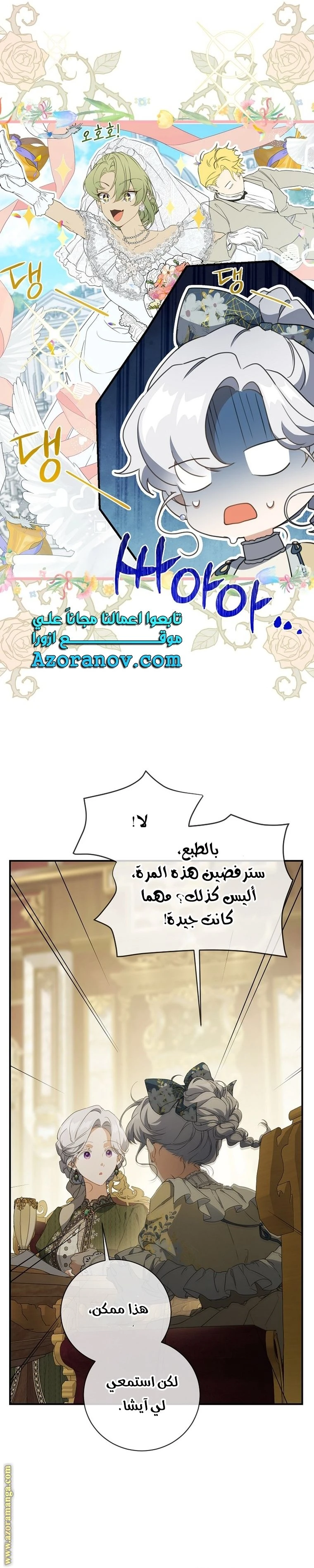 الصفحة 17