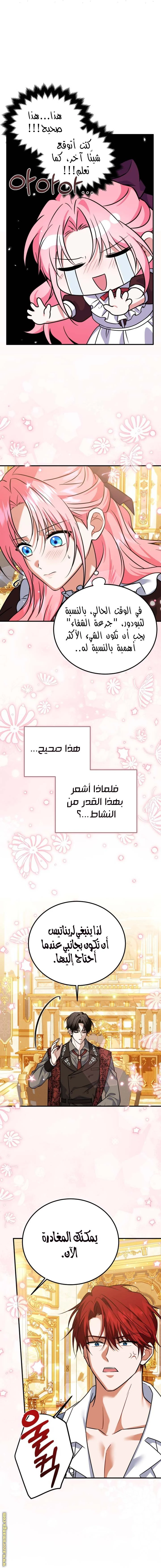 الصفحة 12