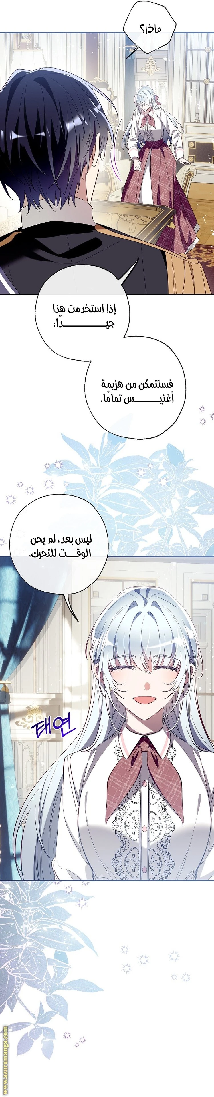 الصفحة 19