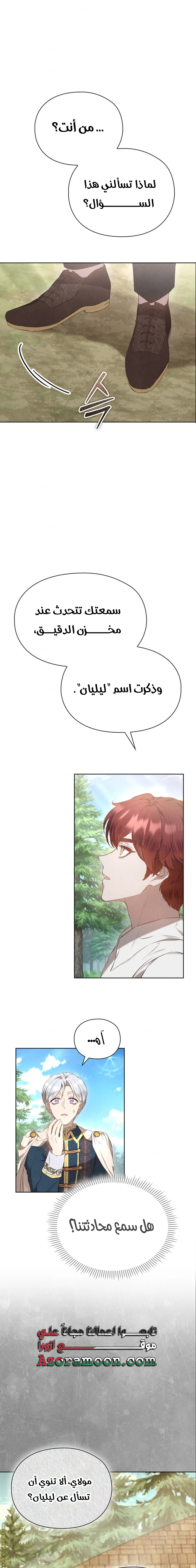 الصفحة 17