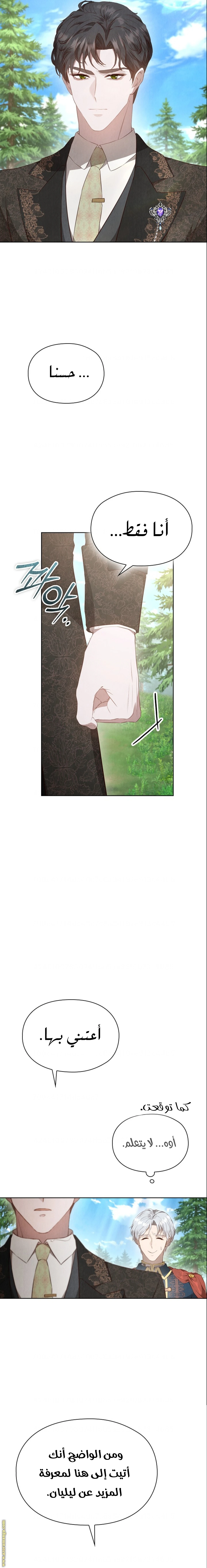 الصفحة 19