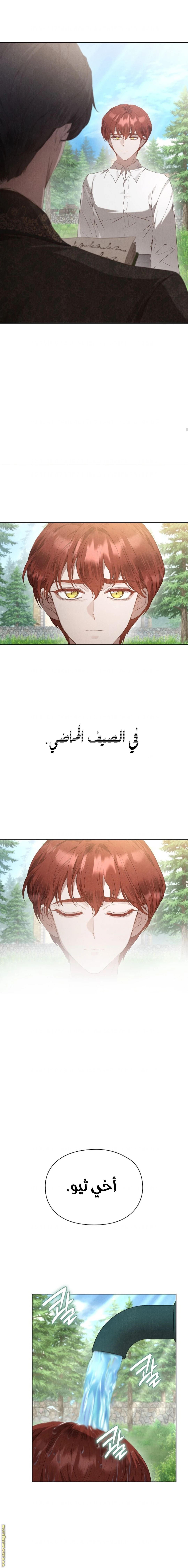 الصفحة 24