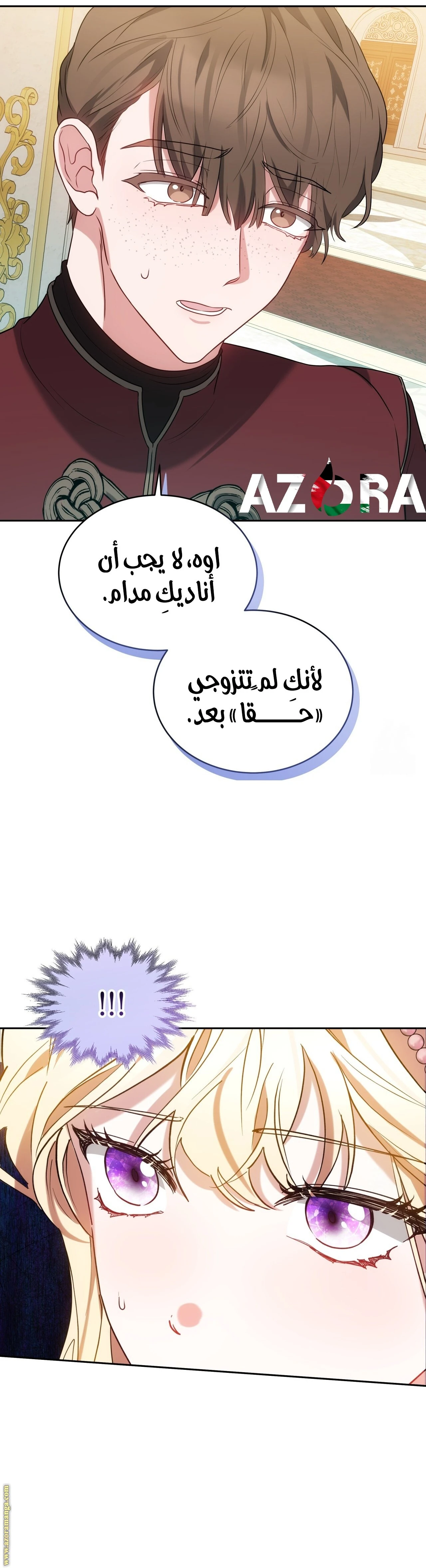 الصفحة 27
