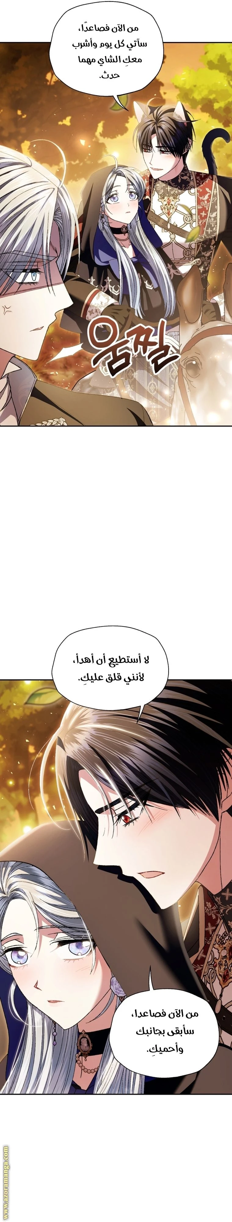 الصفحة 17