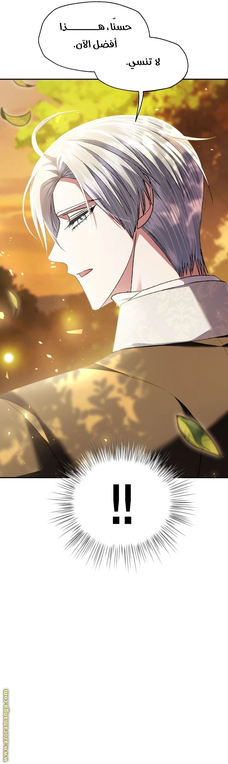 الصفحة 19