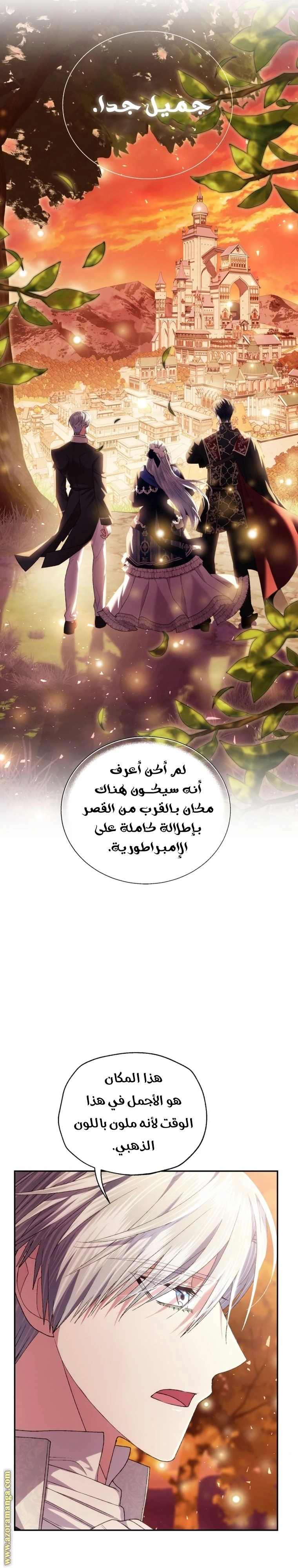 الصفحة 23