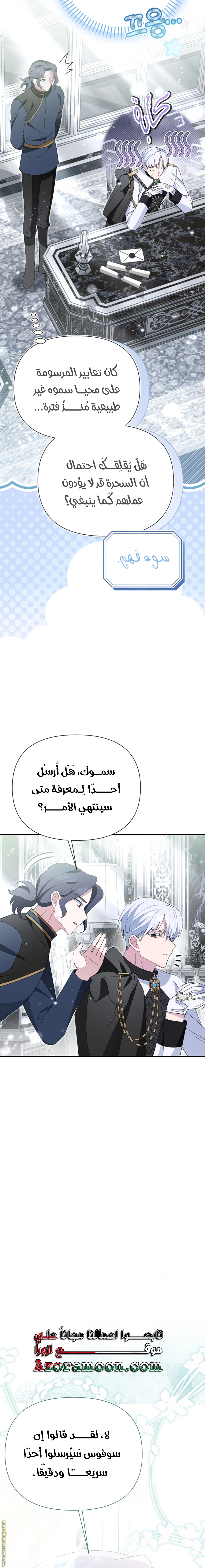 الصفحة 13