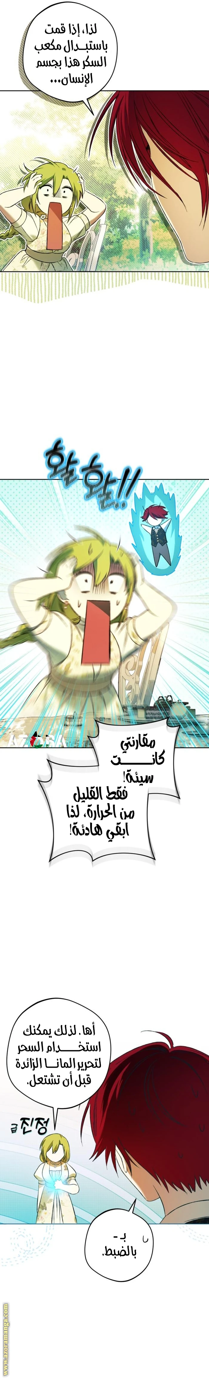 الصفحة 12