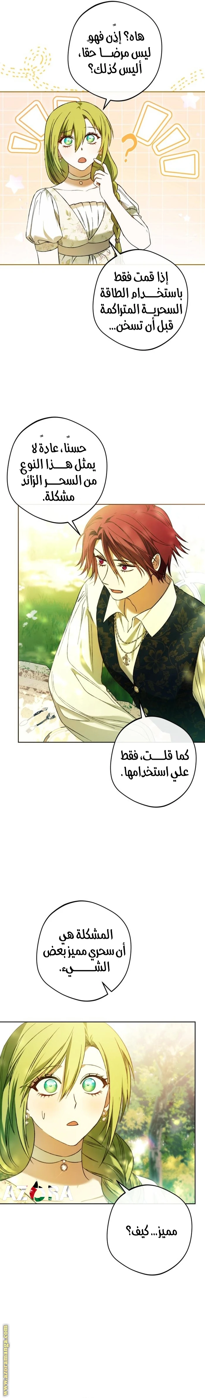 الصفحة 13