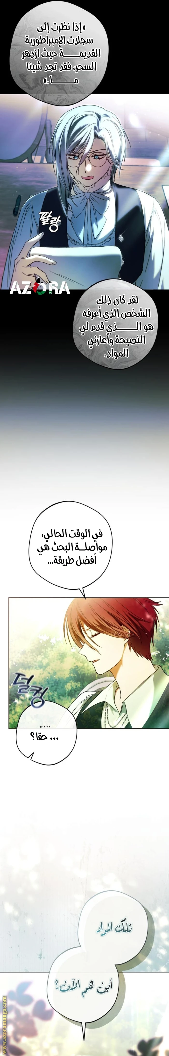 الصفحة 17