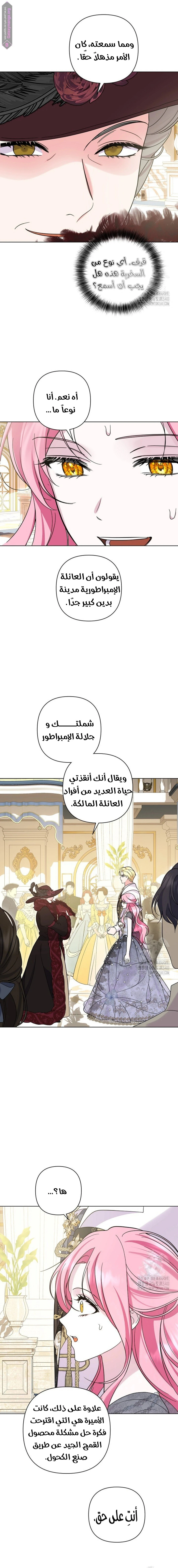 الصفحة 20