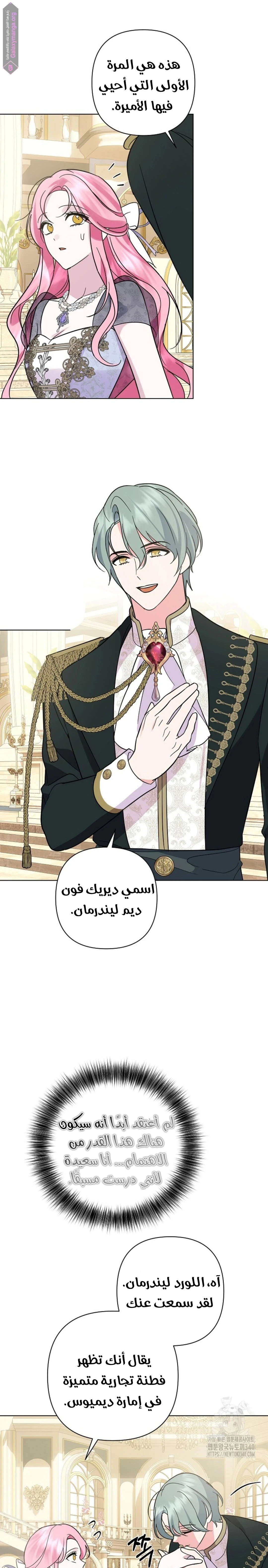 الصفحة 25