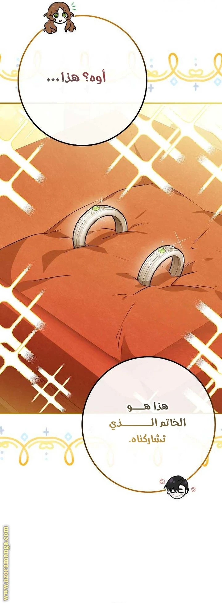 الصفحة 21
