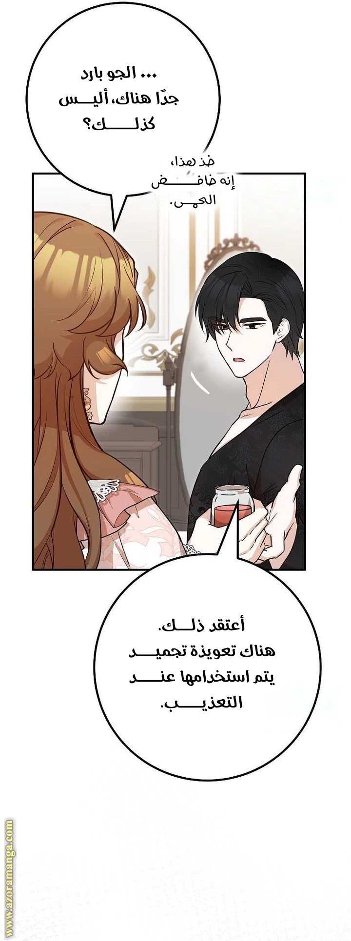 الصفحة 27