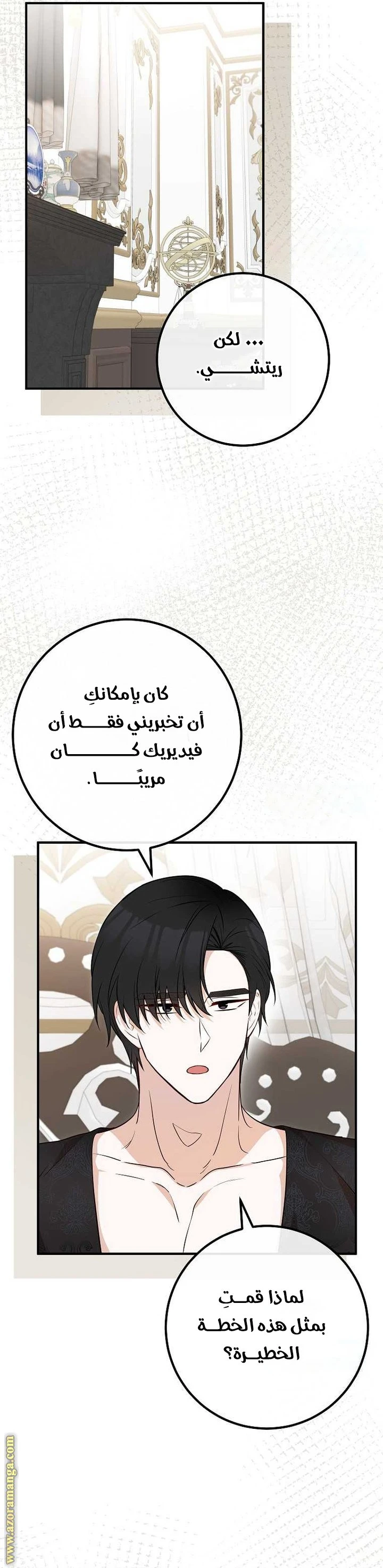 الصفحة 29