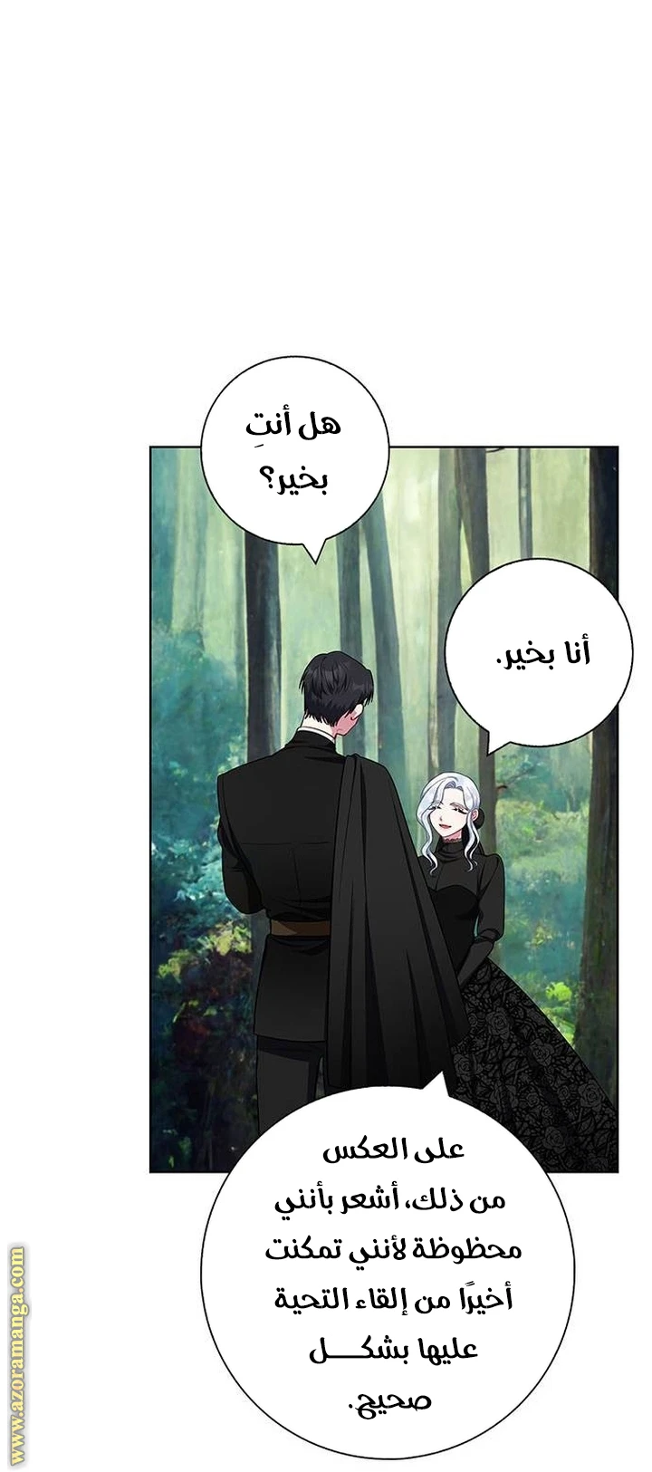 الصفحة 27