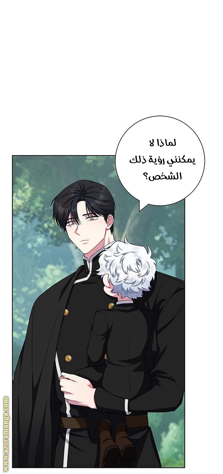 الصفحة 41