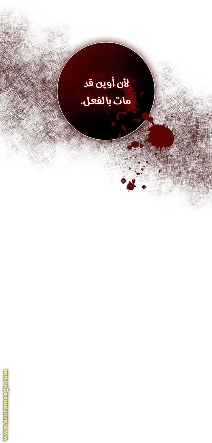 الصفحة 52