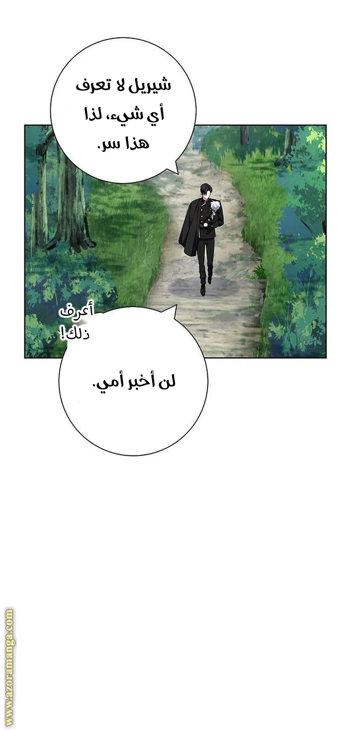 الصفحة 53