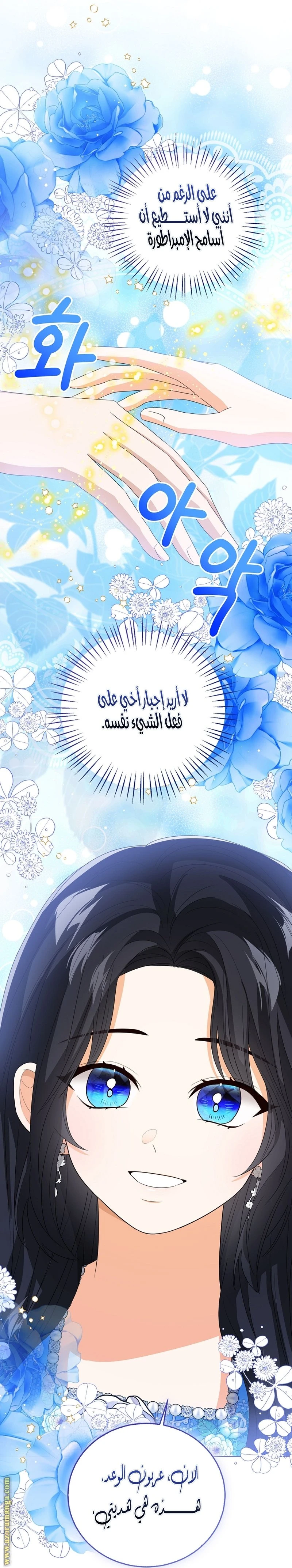 الصفحة 20