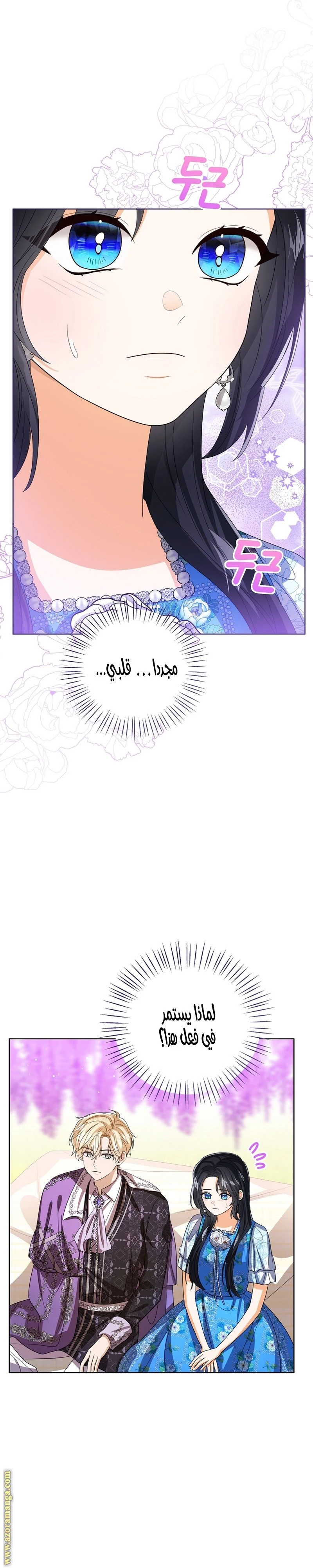 الصفحة 27