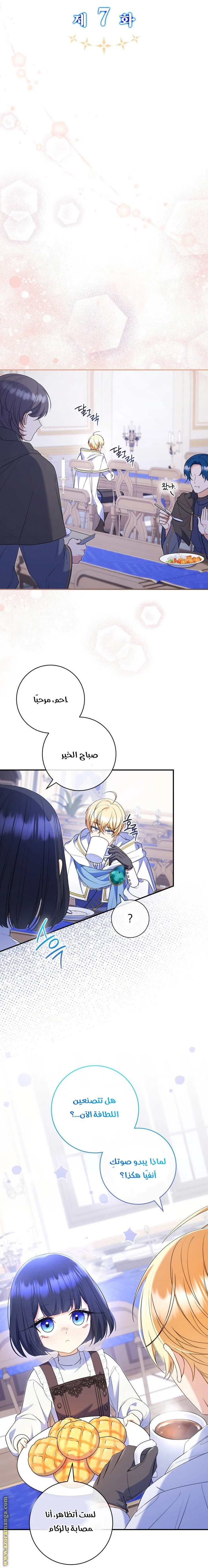 الصفحة 11
