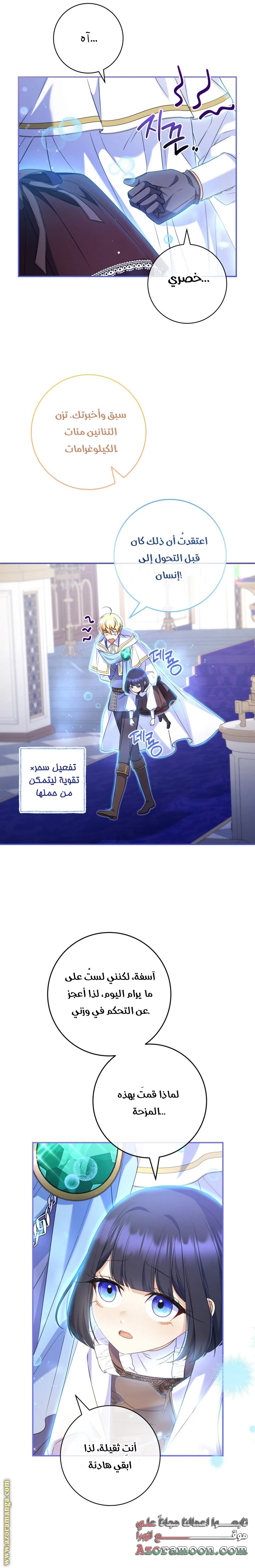 الصفحة 21