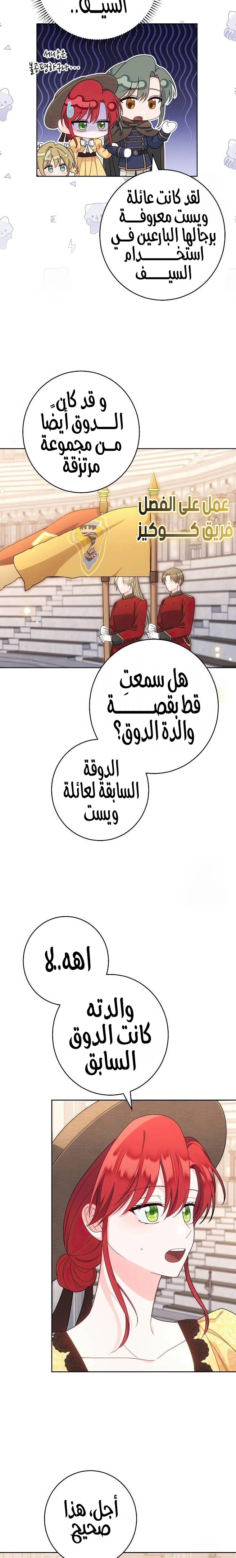 الصفحة 17
