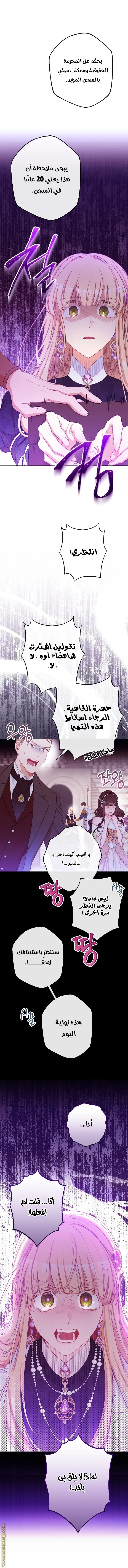الصفحة 7