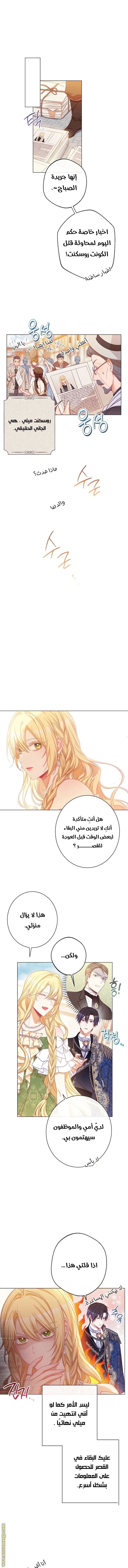 الصفحة 8