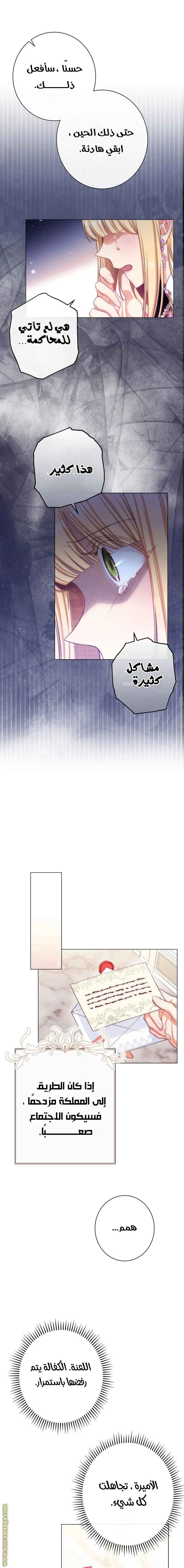 الصفحة 13