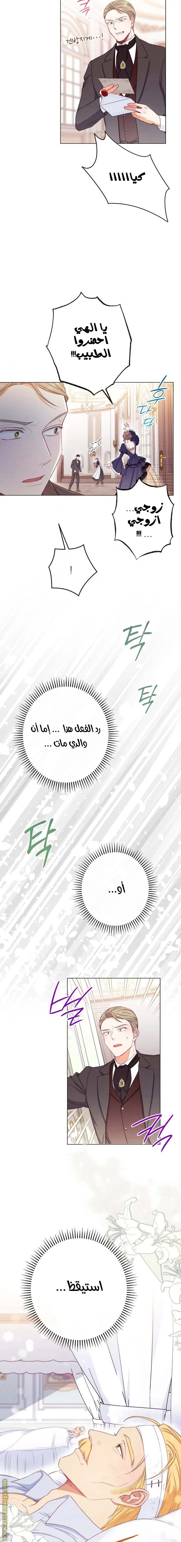 الصفحة 14