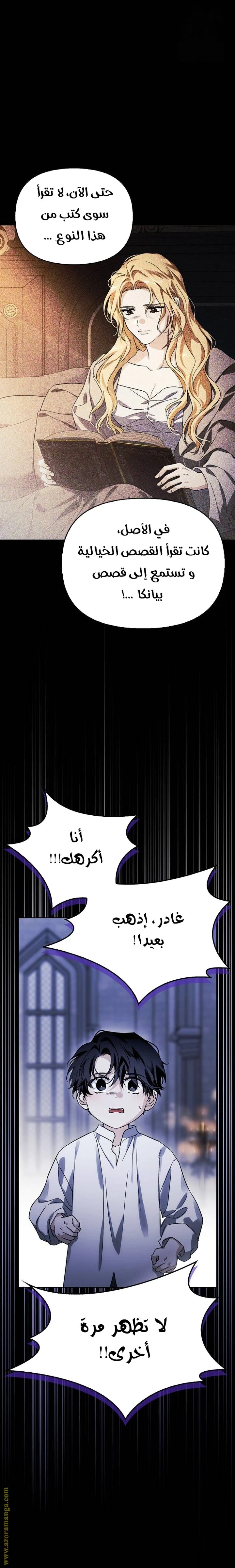 الصفحة 17