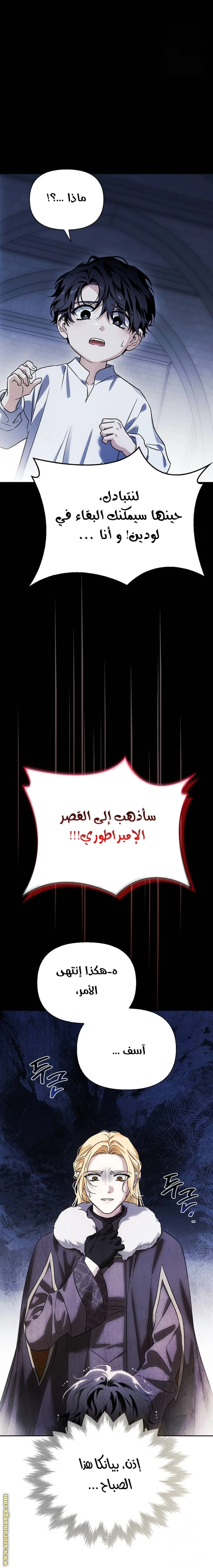 الصفحة 25