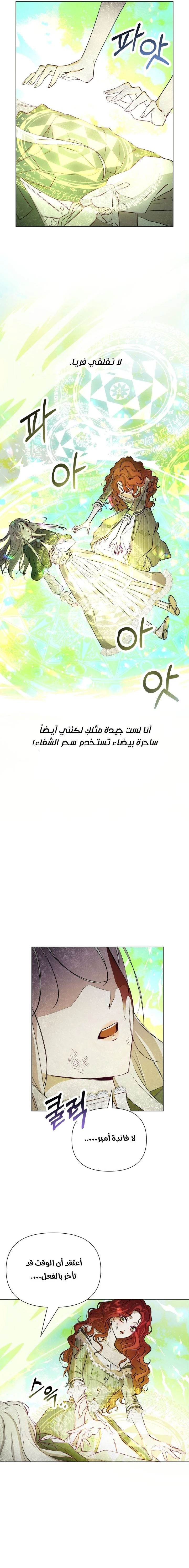 الصفحة 12