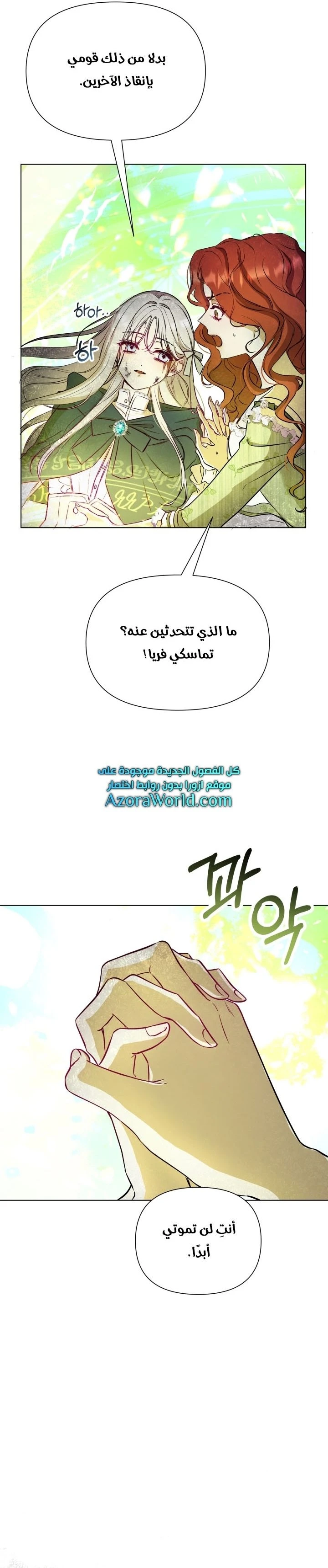 الصفحة 13