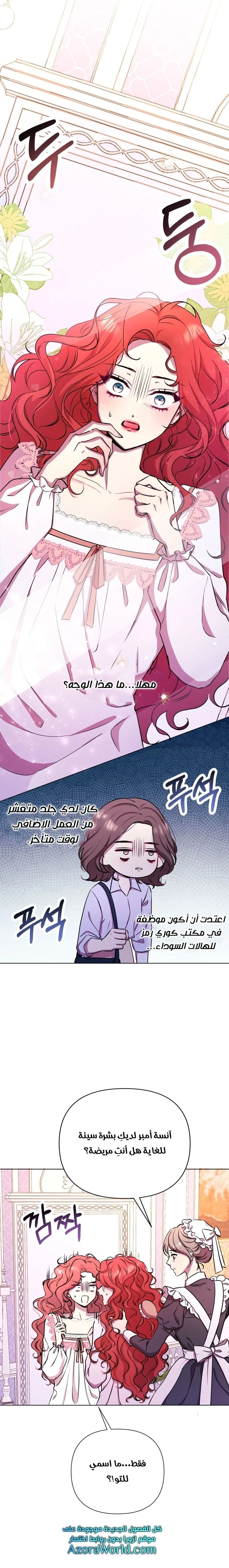 الصفحة 21