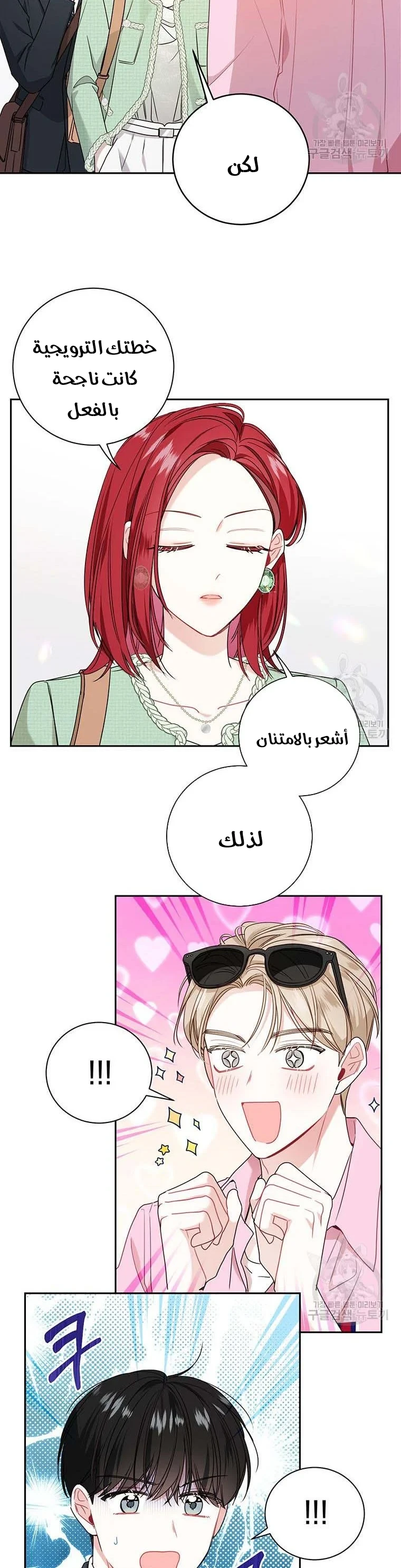 الصفحة 13